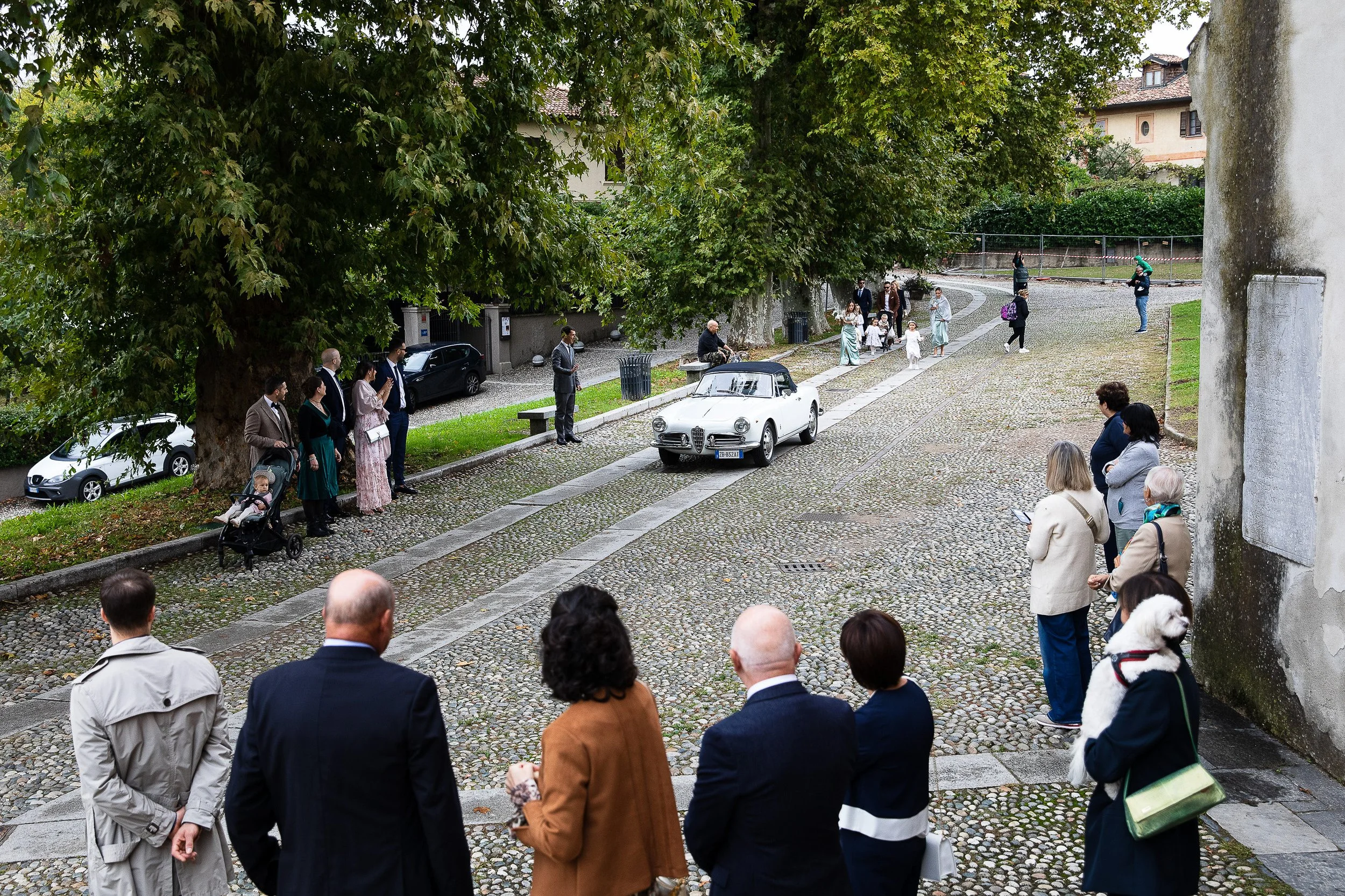 WD SELECTION!_017.jpg