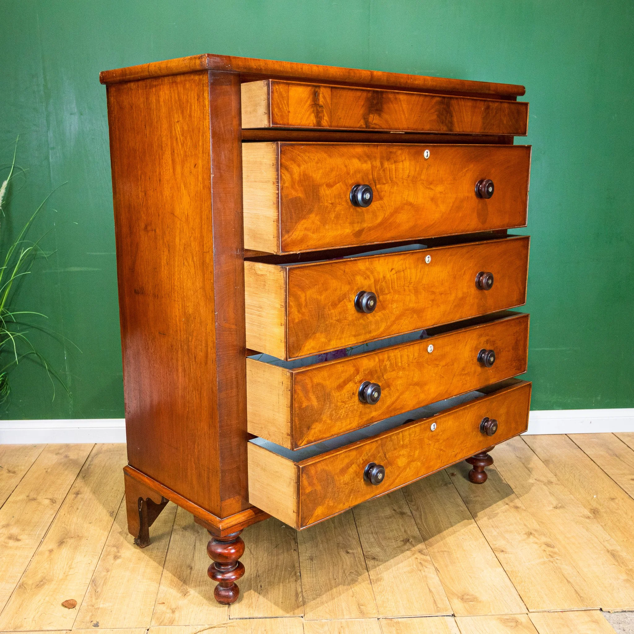 Large Flamed Mahogany Scotch Chest of 5 Drawers