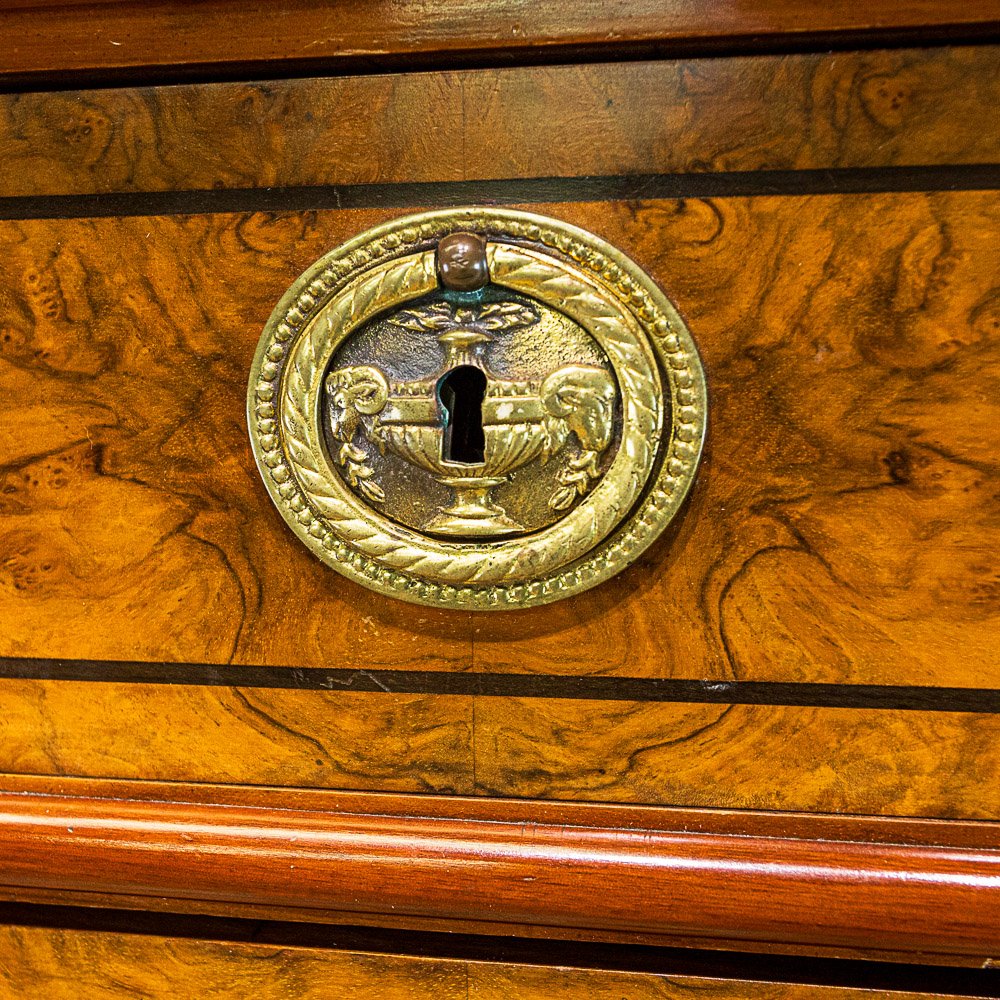 French Burr Walnut Semainier Chest of 7 Drawers