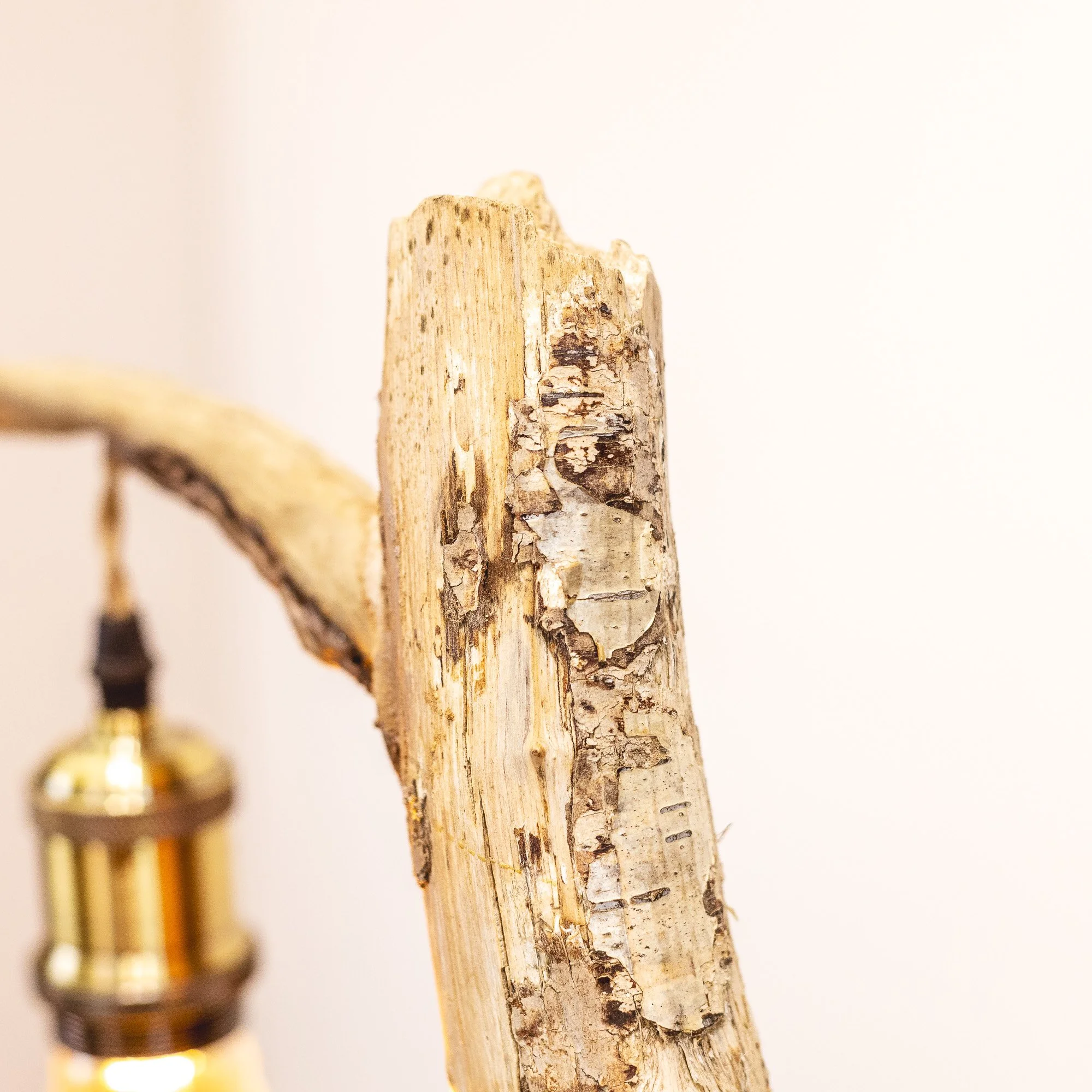 Handmade Driftwood Twin-Bulb Floor Lamp