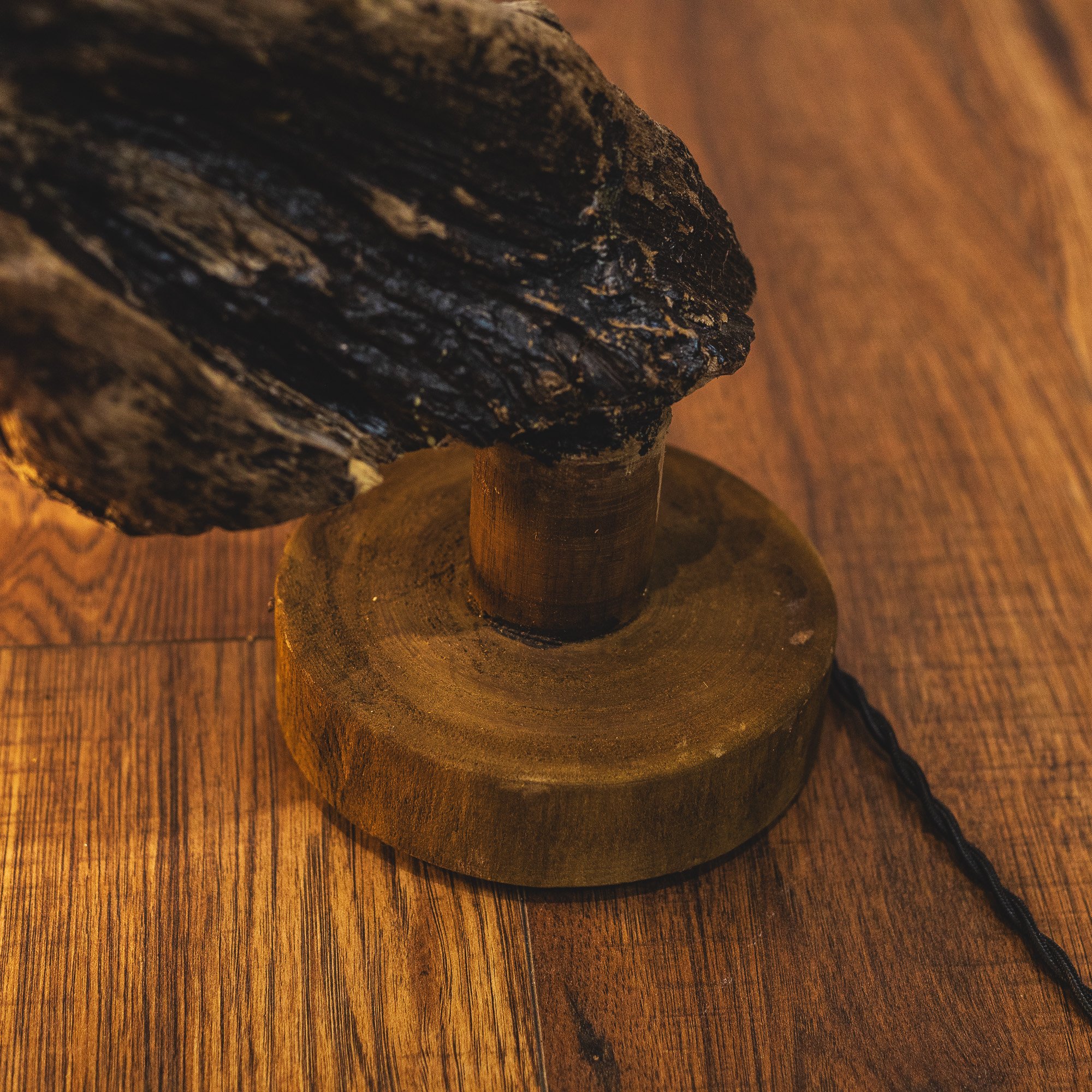 Natural Curved Driftwood Statement Table Lamp