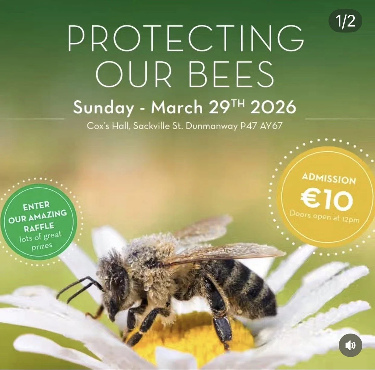 PROTECTING OUR BEES