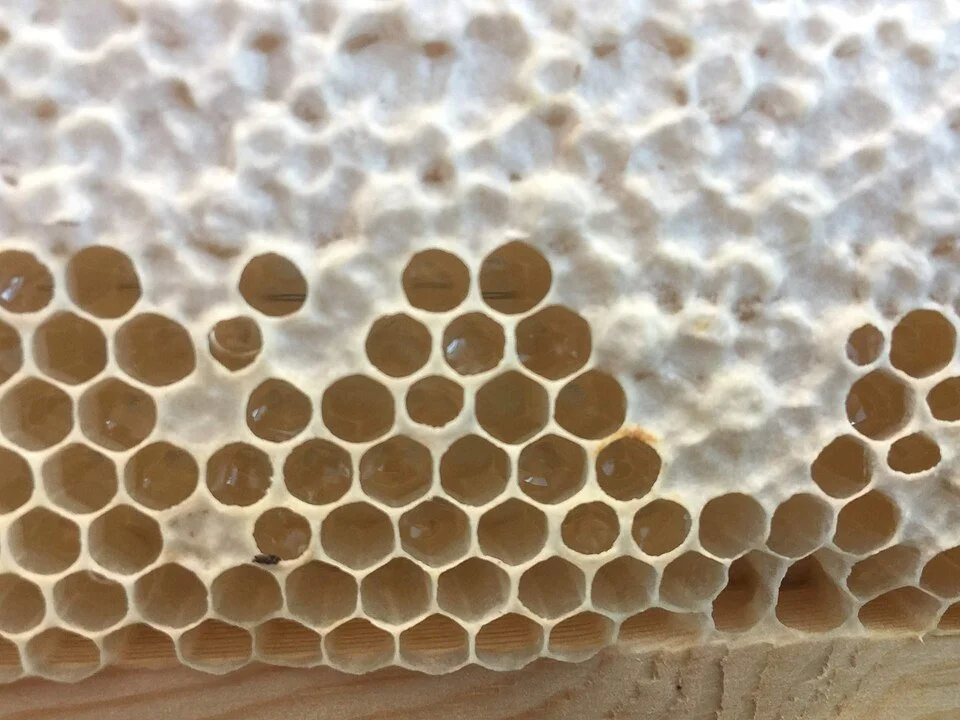 The sticky problem of detecting fake honey