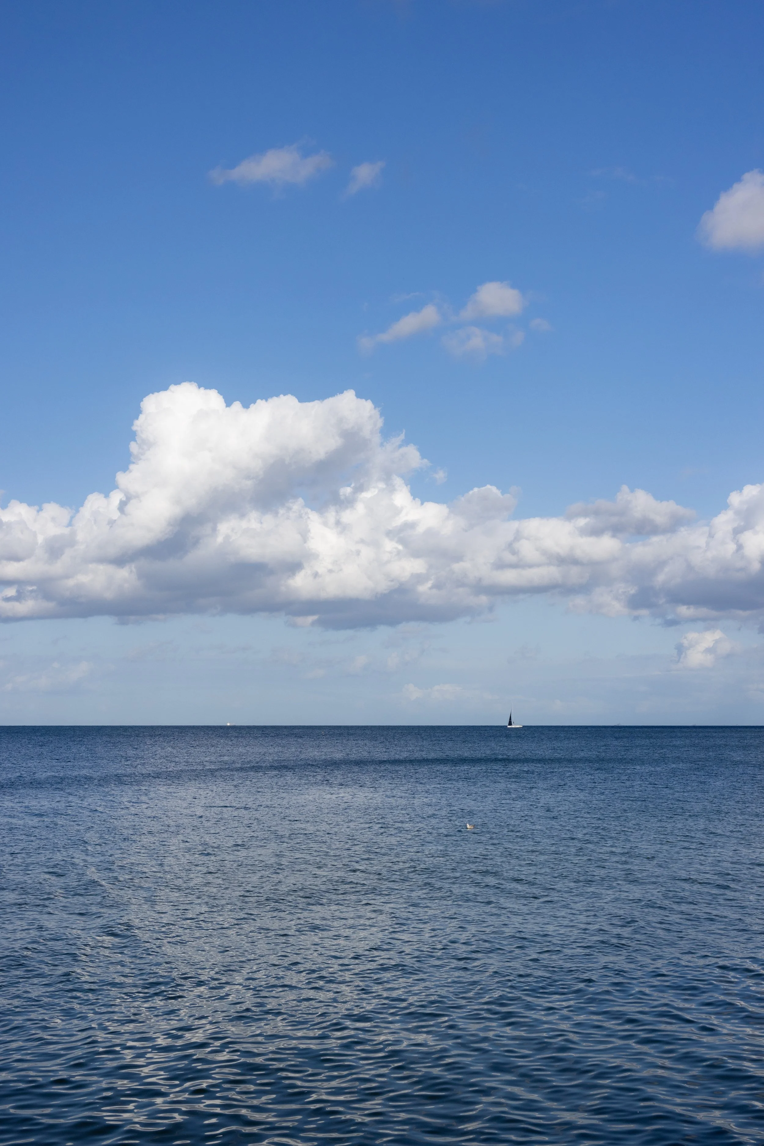 gdynia26.jpg