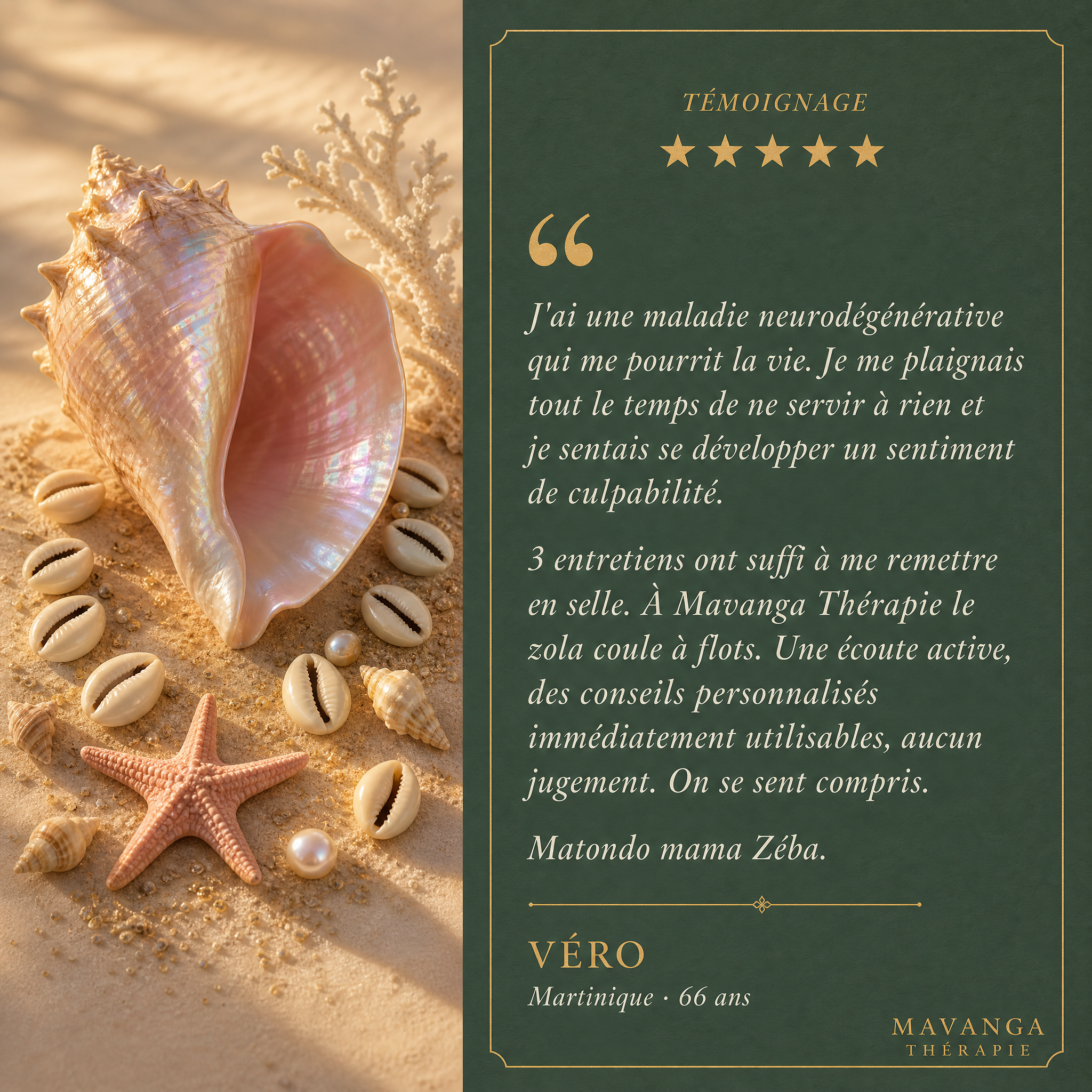 v2_vero_coquillages_2.png