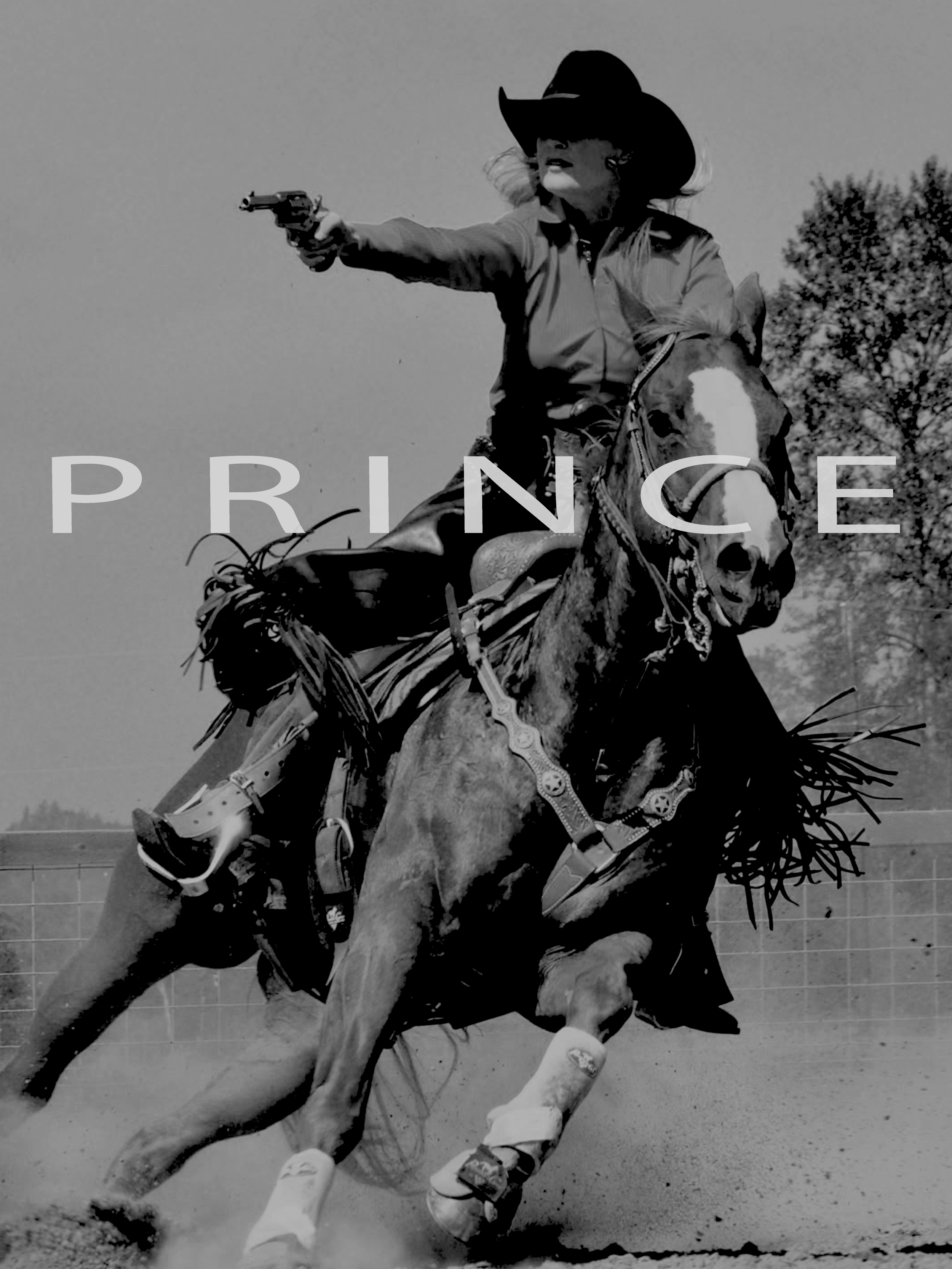 jnfdvjnksan dcsdnjac.png