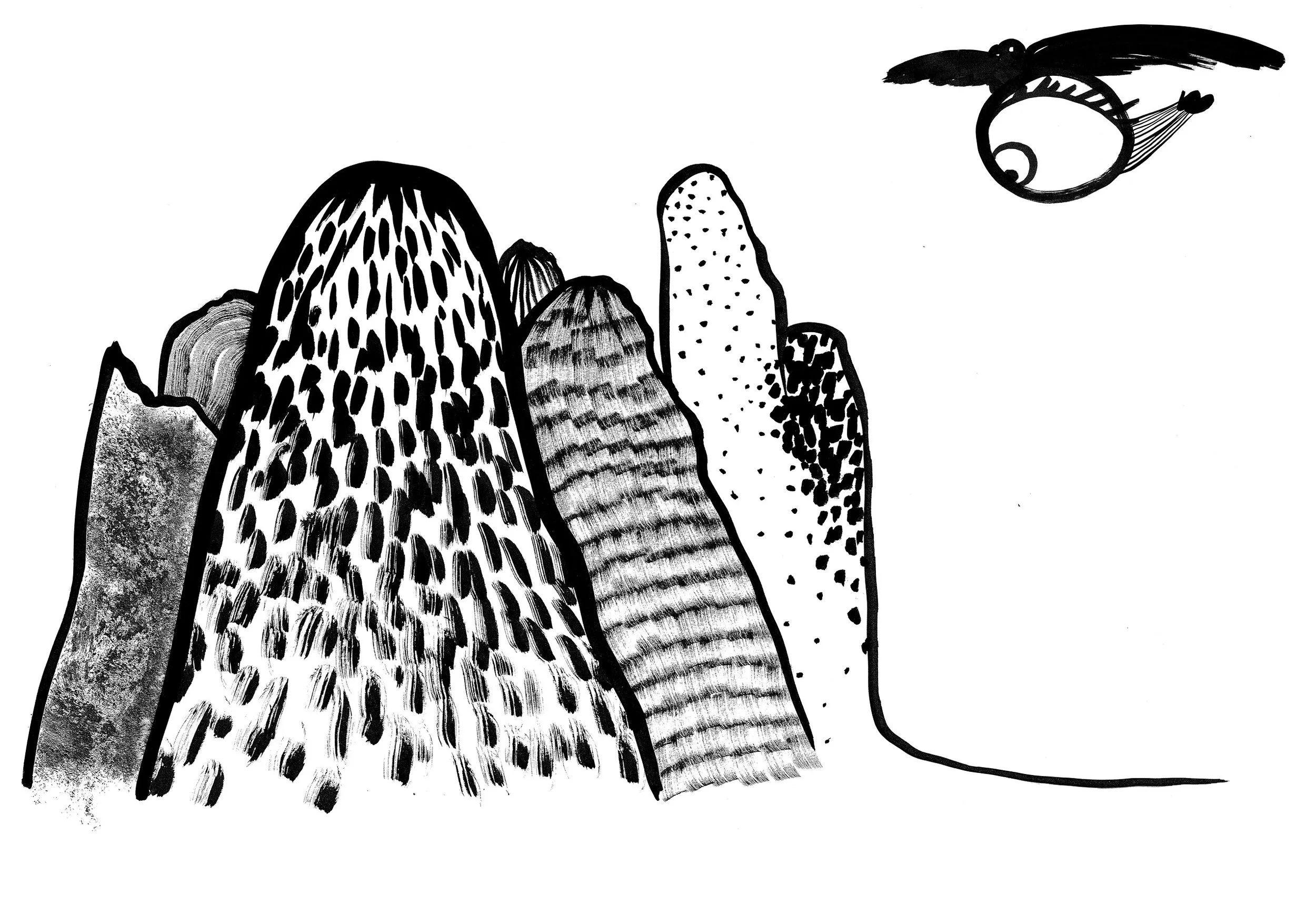 the little eye_4.jpg