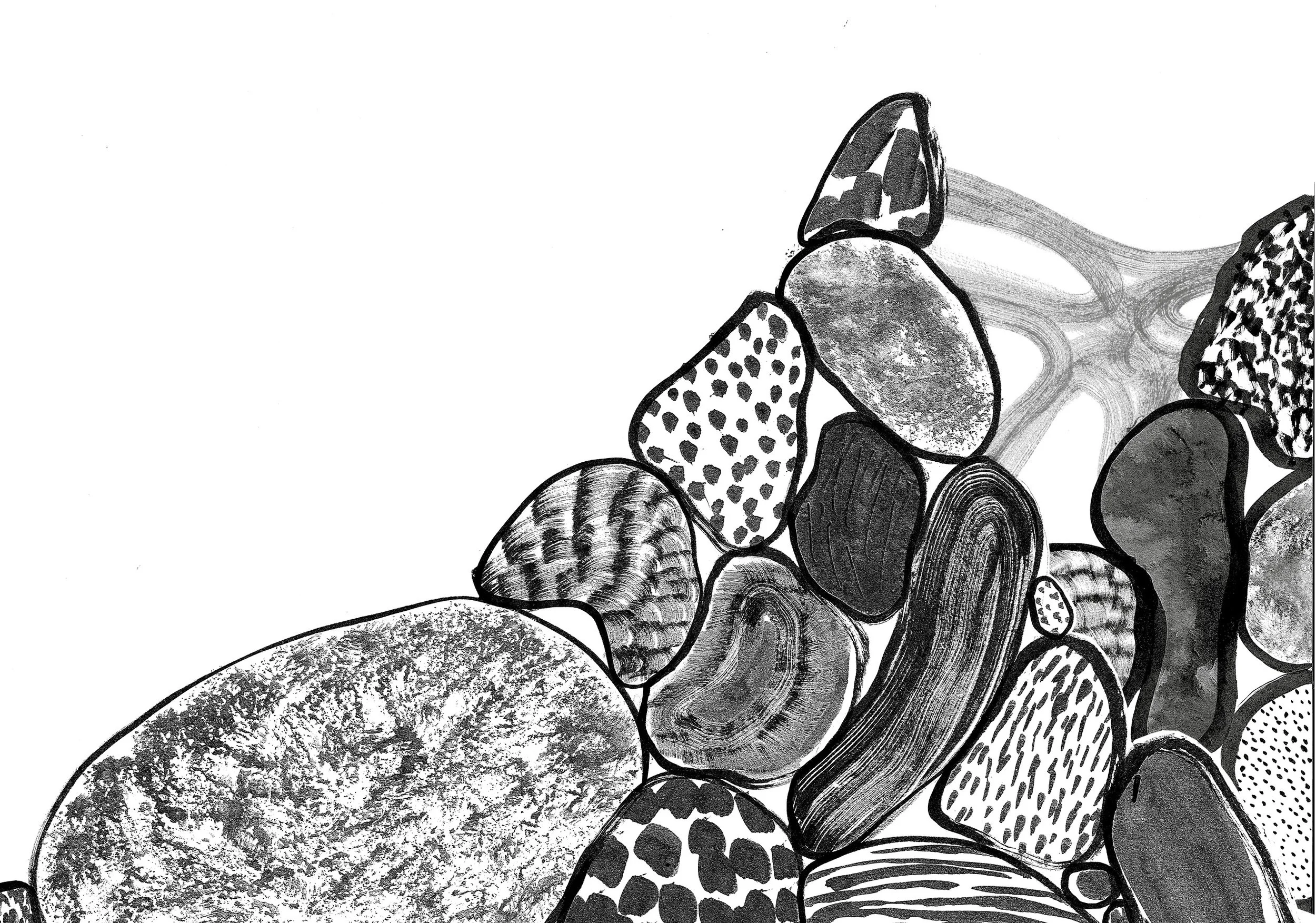 the little eye_2.jpg