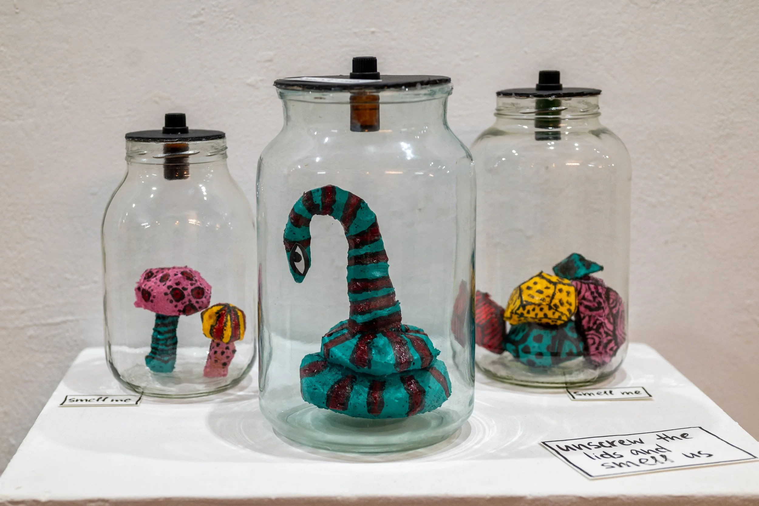 Dragonfly_Exhibit-01.jpg