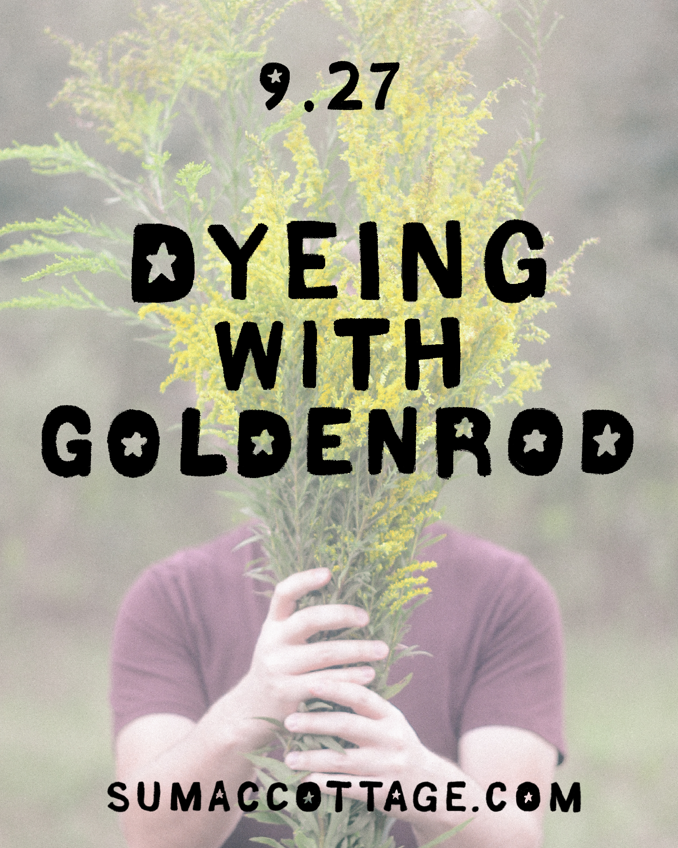 Dyeing with Goldenrod with Aaron Sanders Head