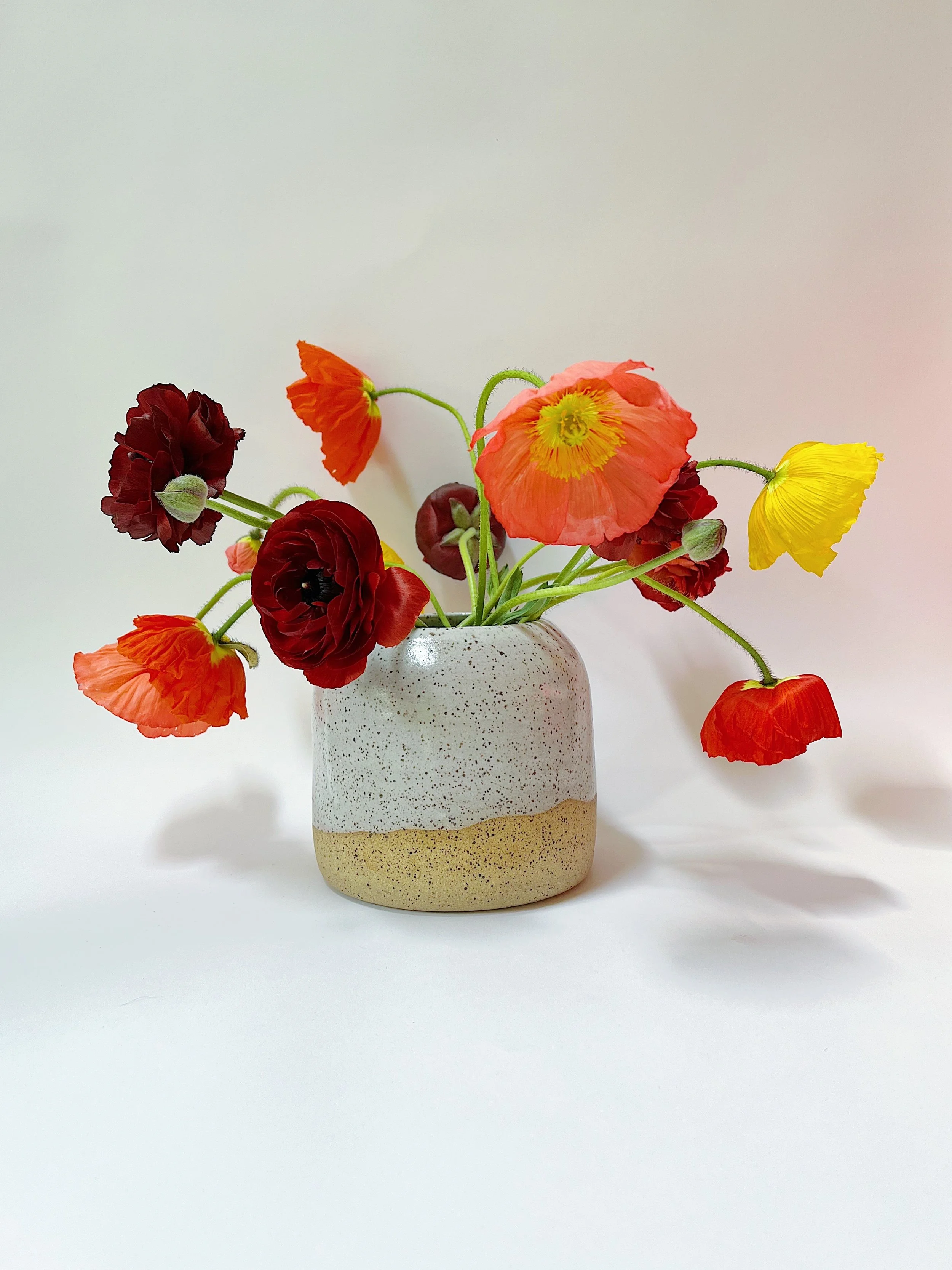 Colorful poppy flowers in a textured beige and white ceramic vase on a plain white background.