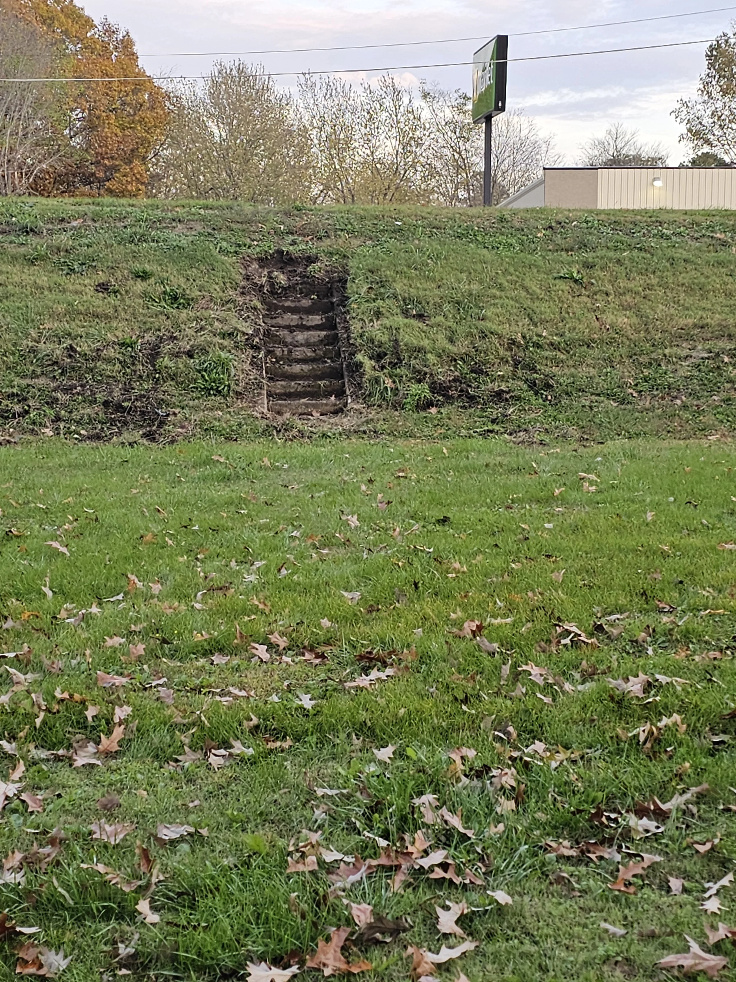 20241117_160724.jpg