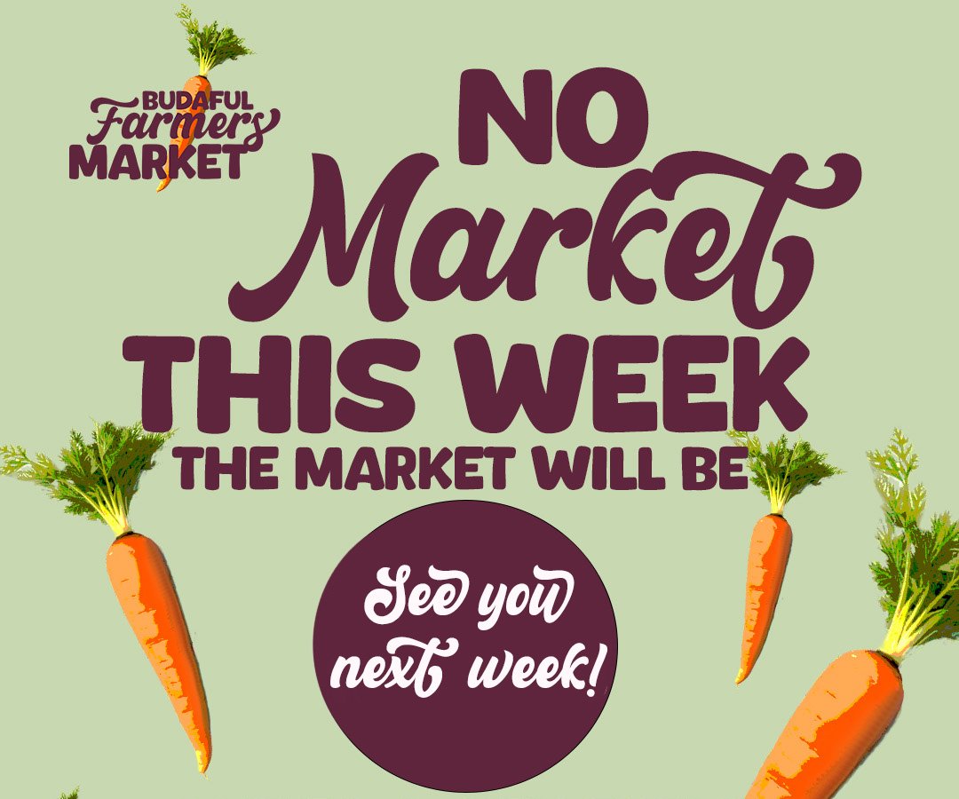 No market this week (temporary due to weiner dog races)