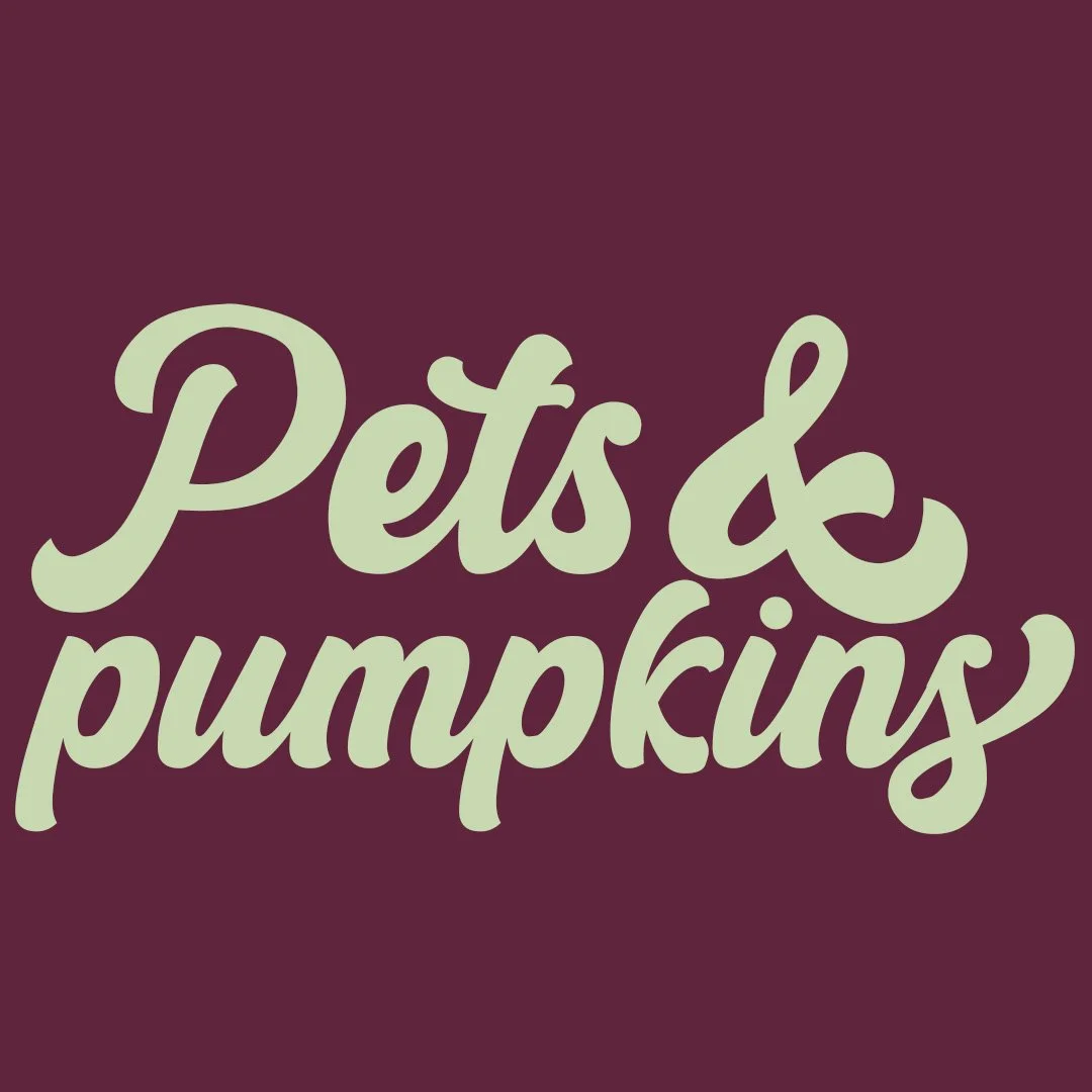 Pets and pumpkins