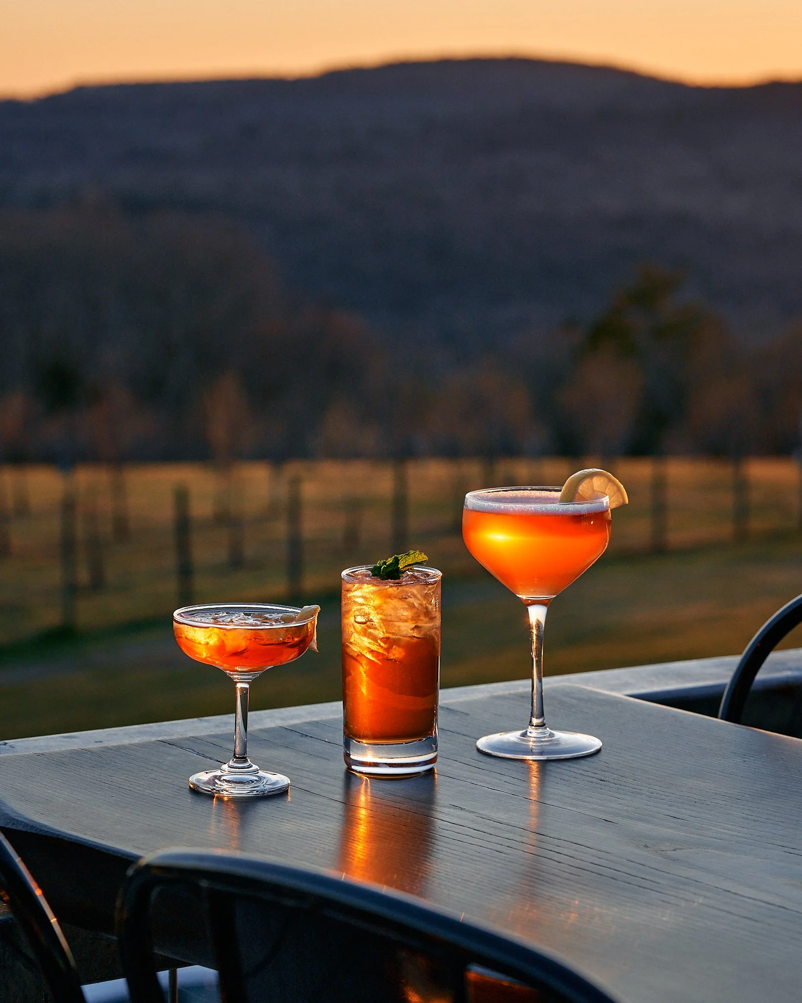 2024-11-15-Cocktails-©Daniel-Schwartz.jpg