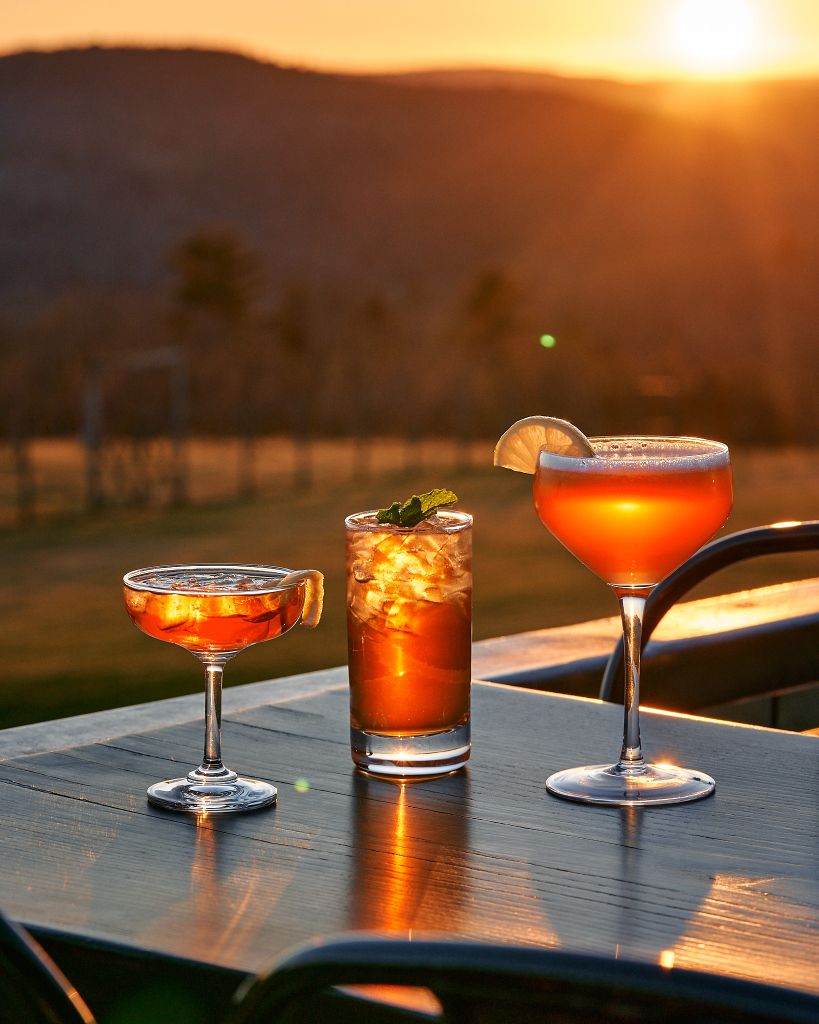 Pollinator Spirits Pop-Up