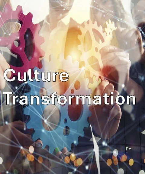 Primary Service - Culture Transformation