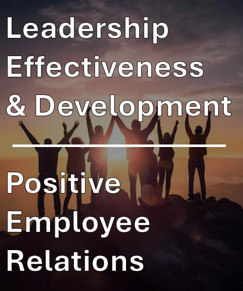 Silhouettes of people on a mountain peak raising a flag with text overlay "Leadership Effectiveness & Development."