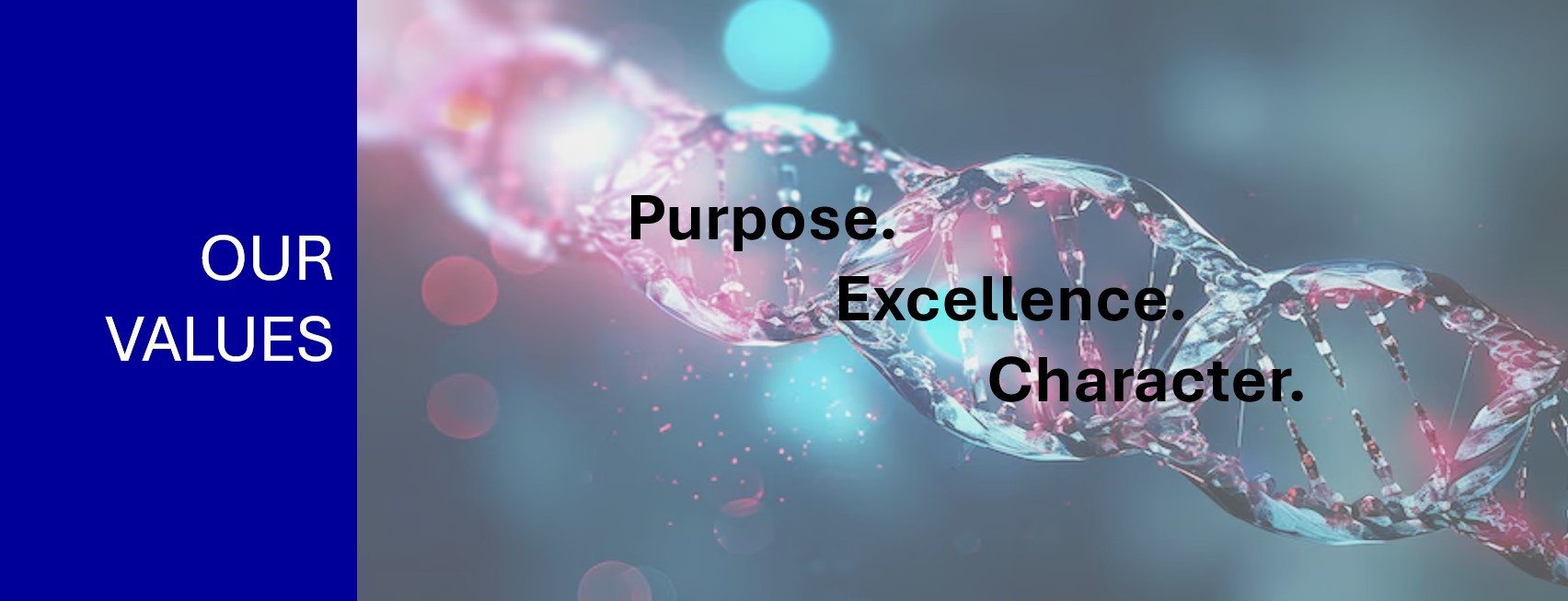 DNA strand with the words 'Purpose,' 'Excellence,' and 'Character' overlaid; a blue section on the left reads 'Our Values.'