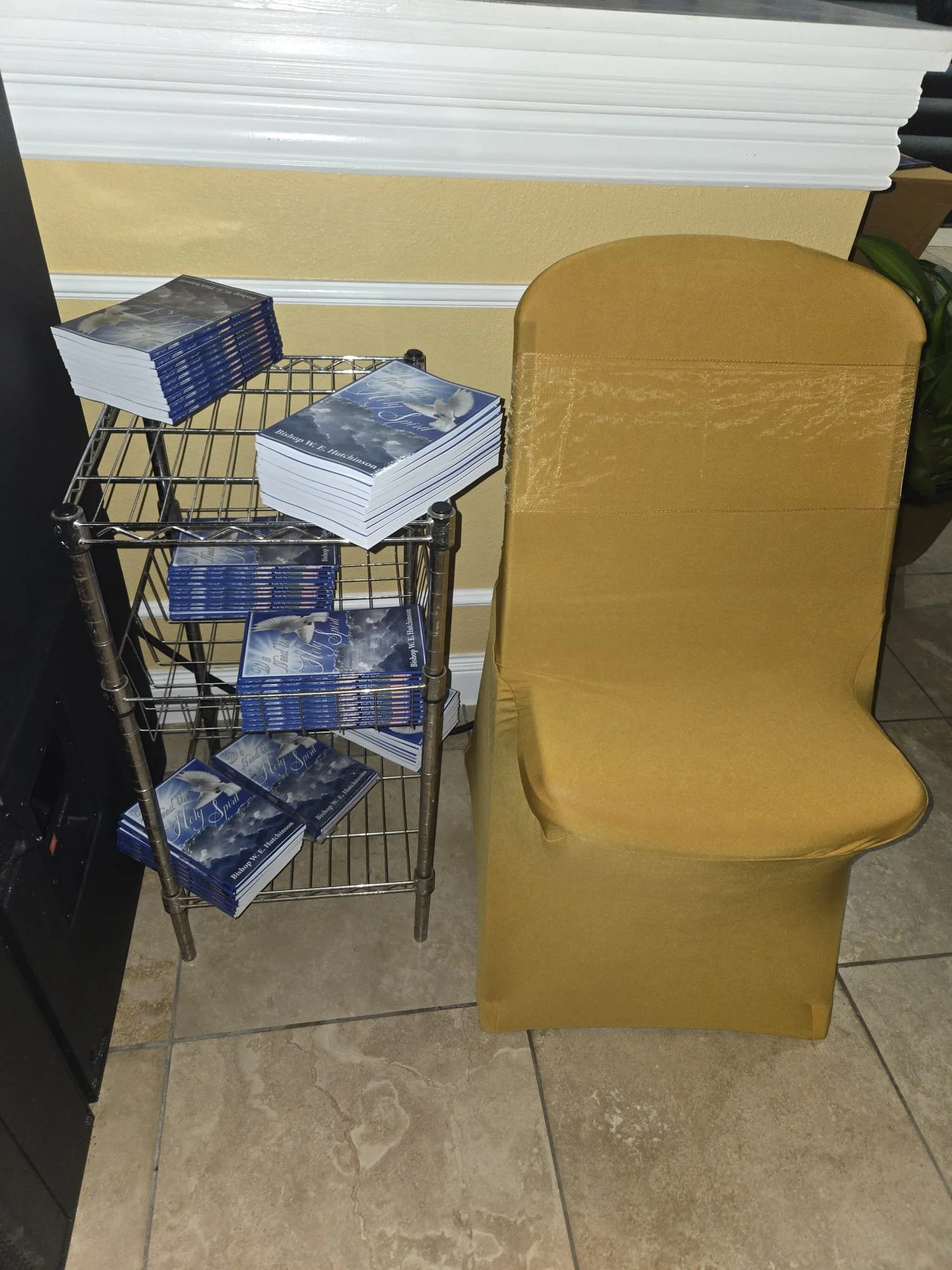 WhatsApp Image 2026-02-15 at 18.18.13.jpeg