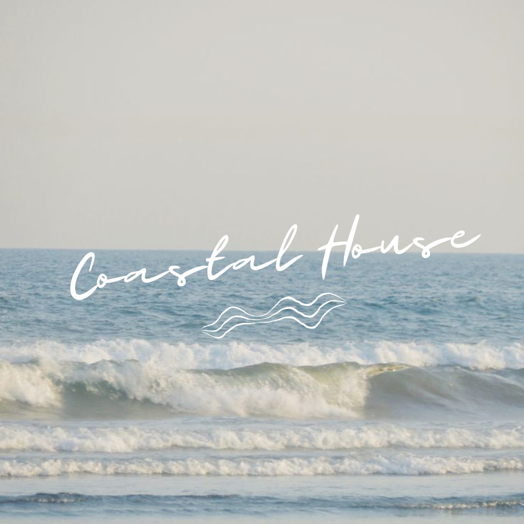 premade branding kit