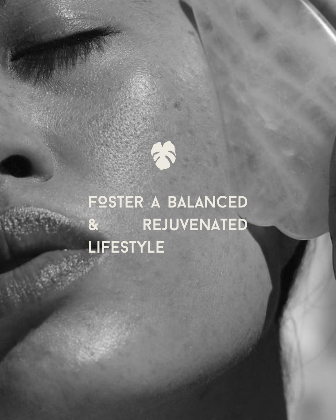 brand identity designer sacramento california