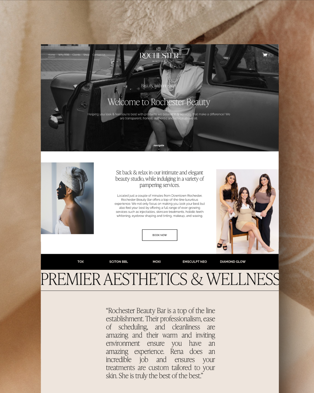 Michigan Website Designer