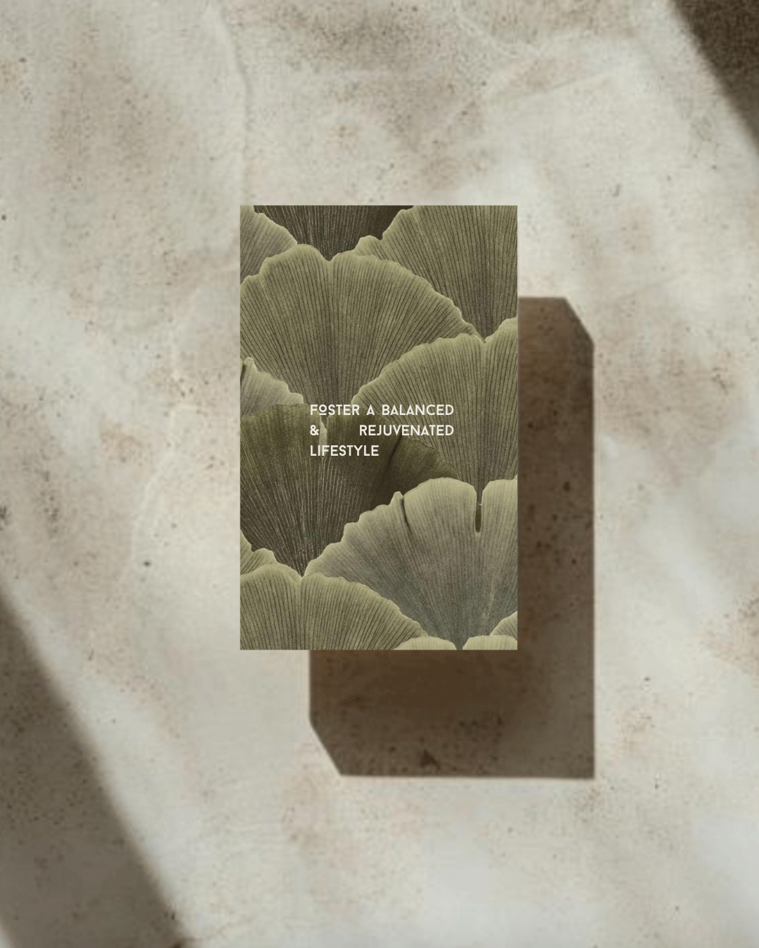 brand identity kit