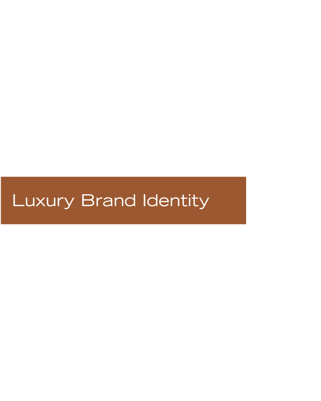 luxury brand development