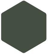 A hexagon-shaped dark green object with a faint border outline.