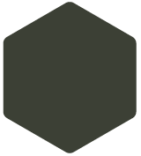Hexagaon 1