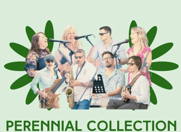 Live Music - Perenial Collection