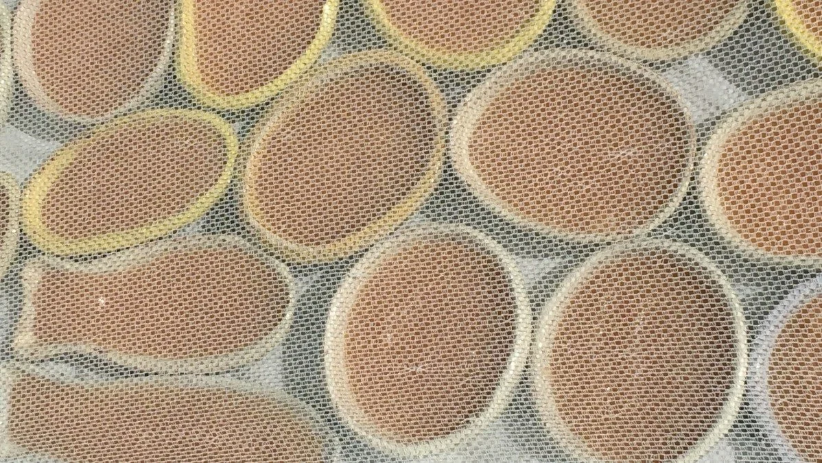 marmellata8.JPG