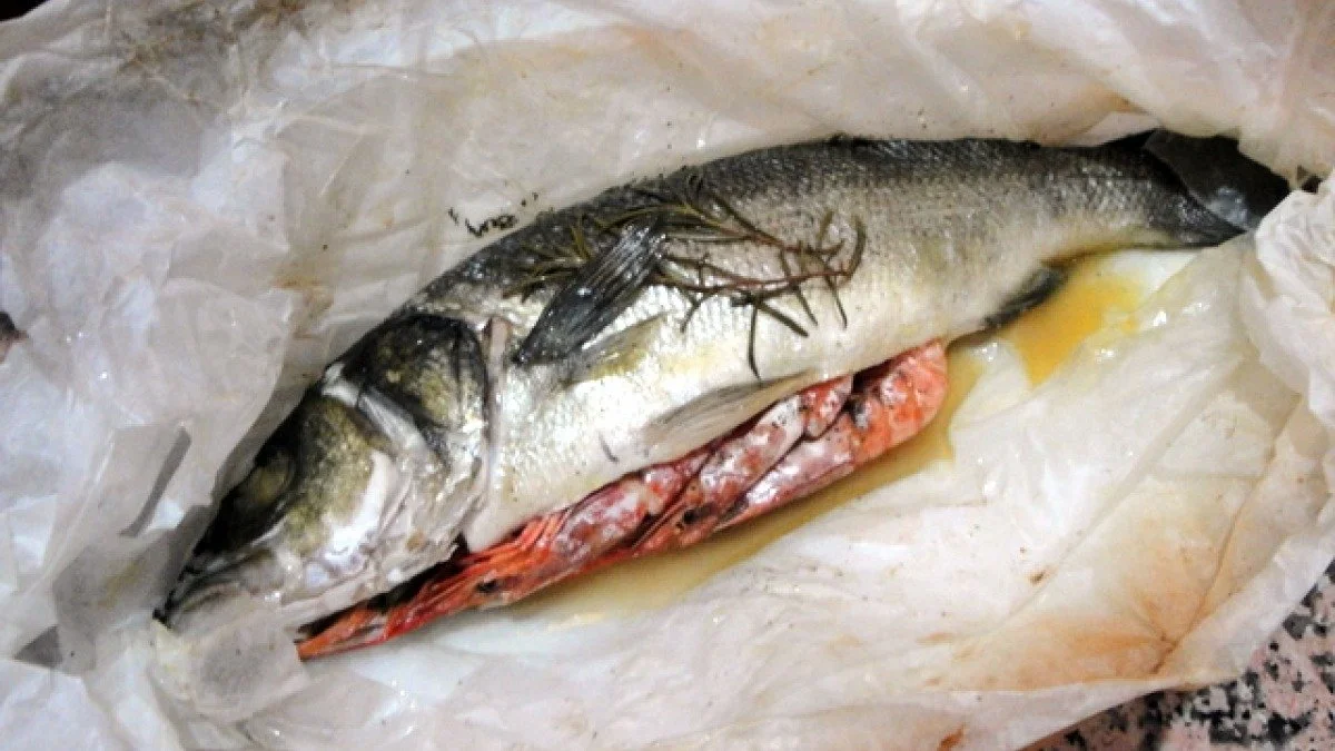 DSC02655-2.JPG