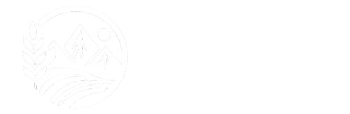 Mohebbizadeh Foundation