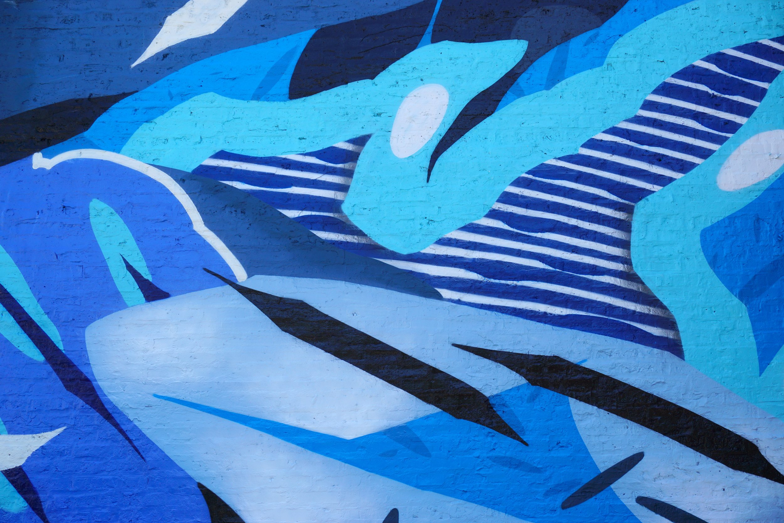 detail 1.jpg