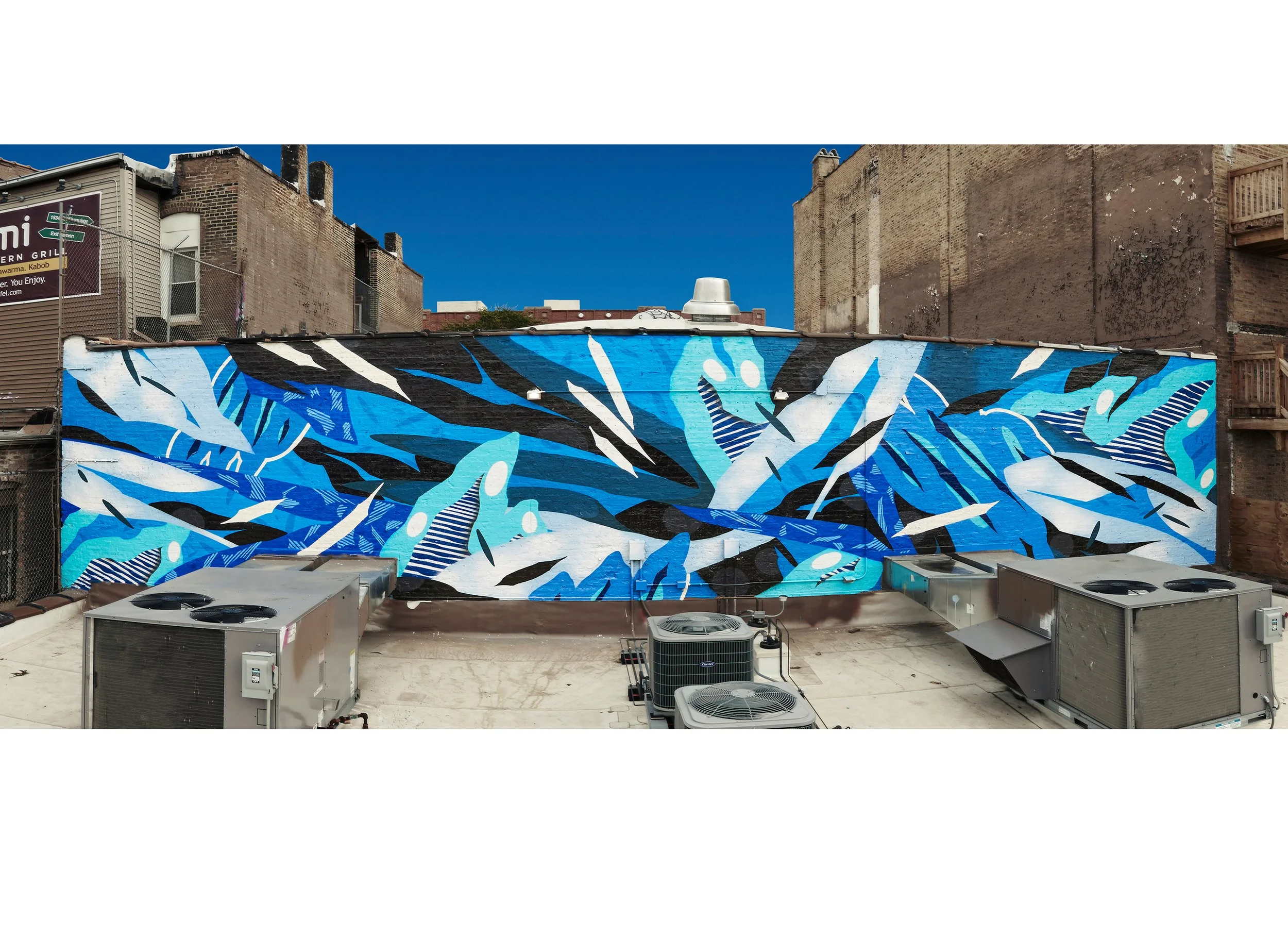 Tropical Blue, Chicago, IL, 2018