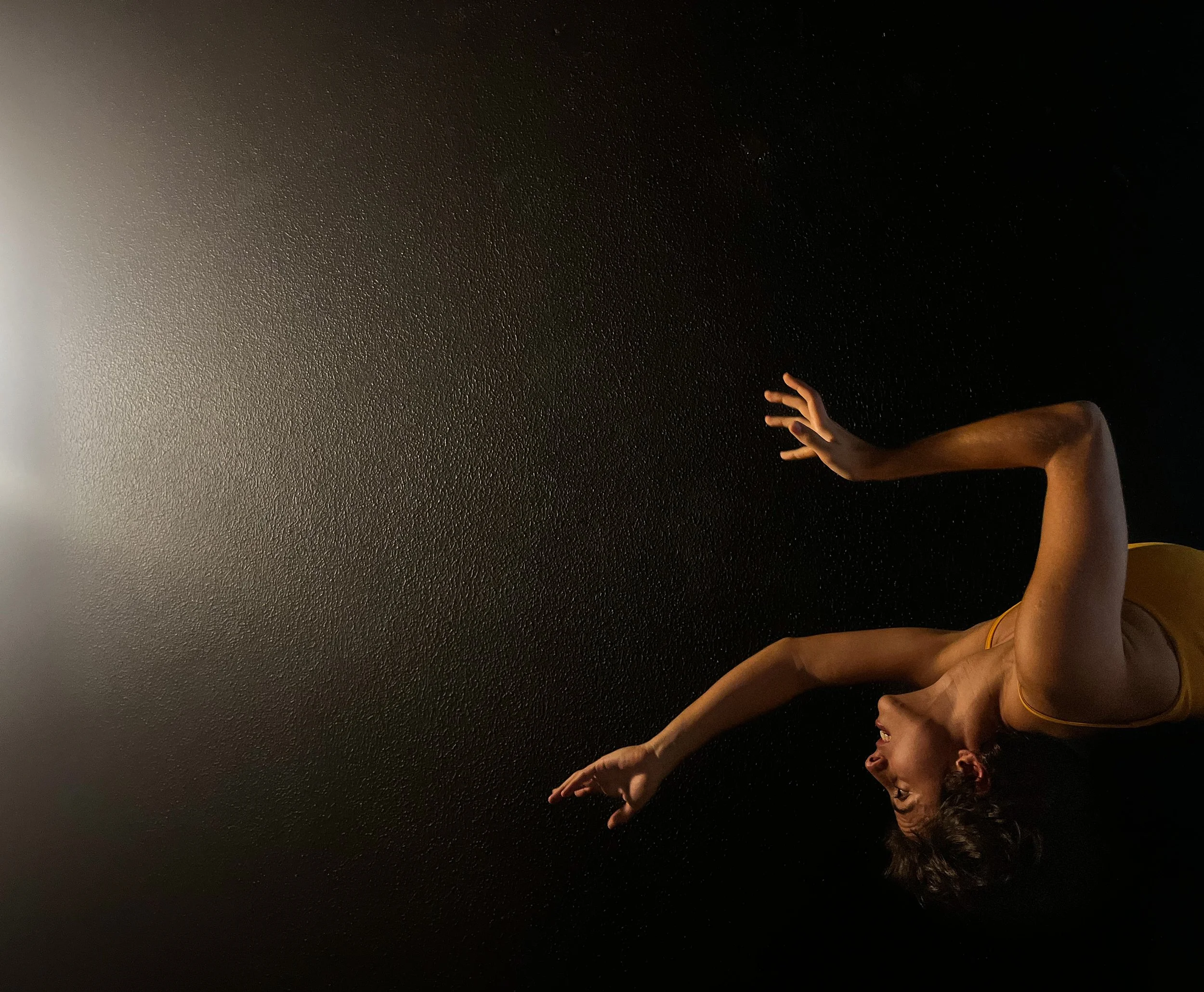 Todo Movimento Conta História