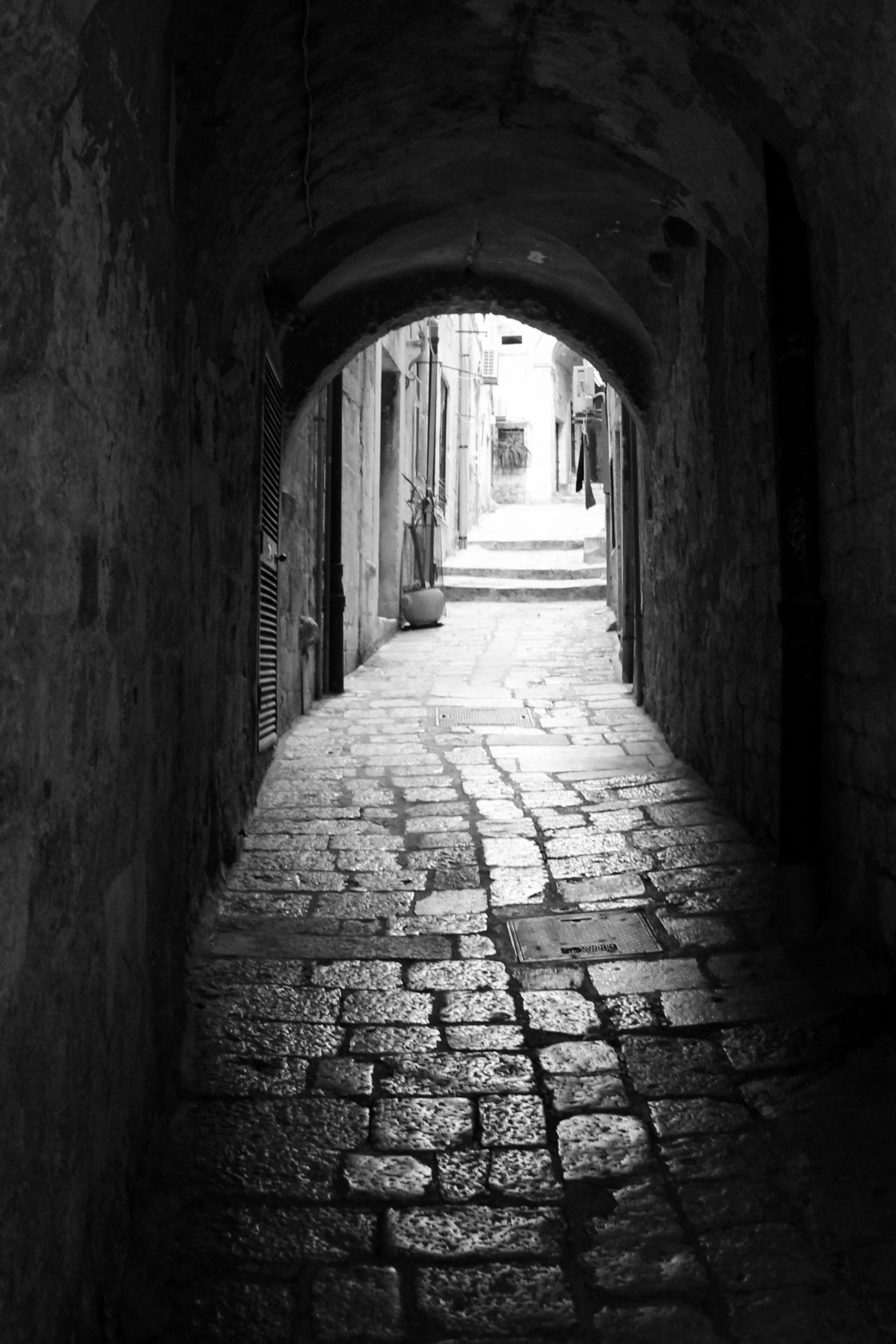 The Vision Must Be Followed by the Venture.jpg