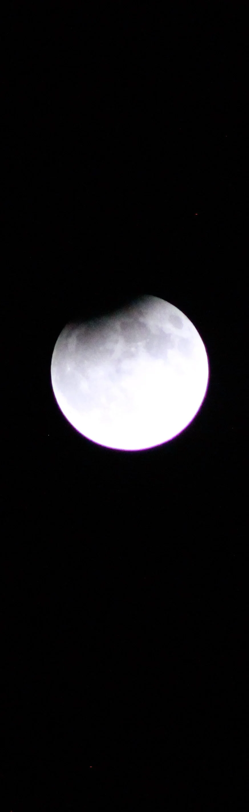 A photograph of the 2024 lunar eclipse, captured using an older camera body and an inexpensive lens. Despite the limited equipment, the image preserves surprising detail in the moon’s surface and atmosphere, highlighting the value of technique, timin
