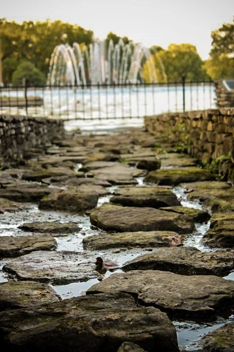 Inquiry & Discovery; Planning & Direction; Filming or Footage Curation; Editing & Refinement; and Delivery