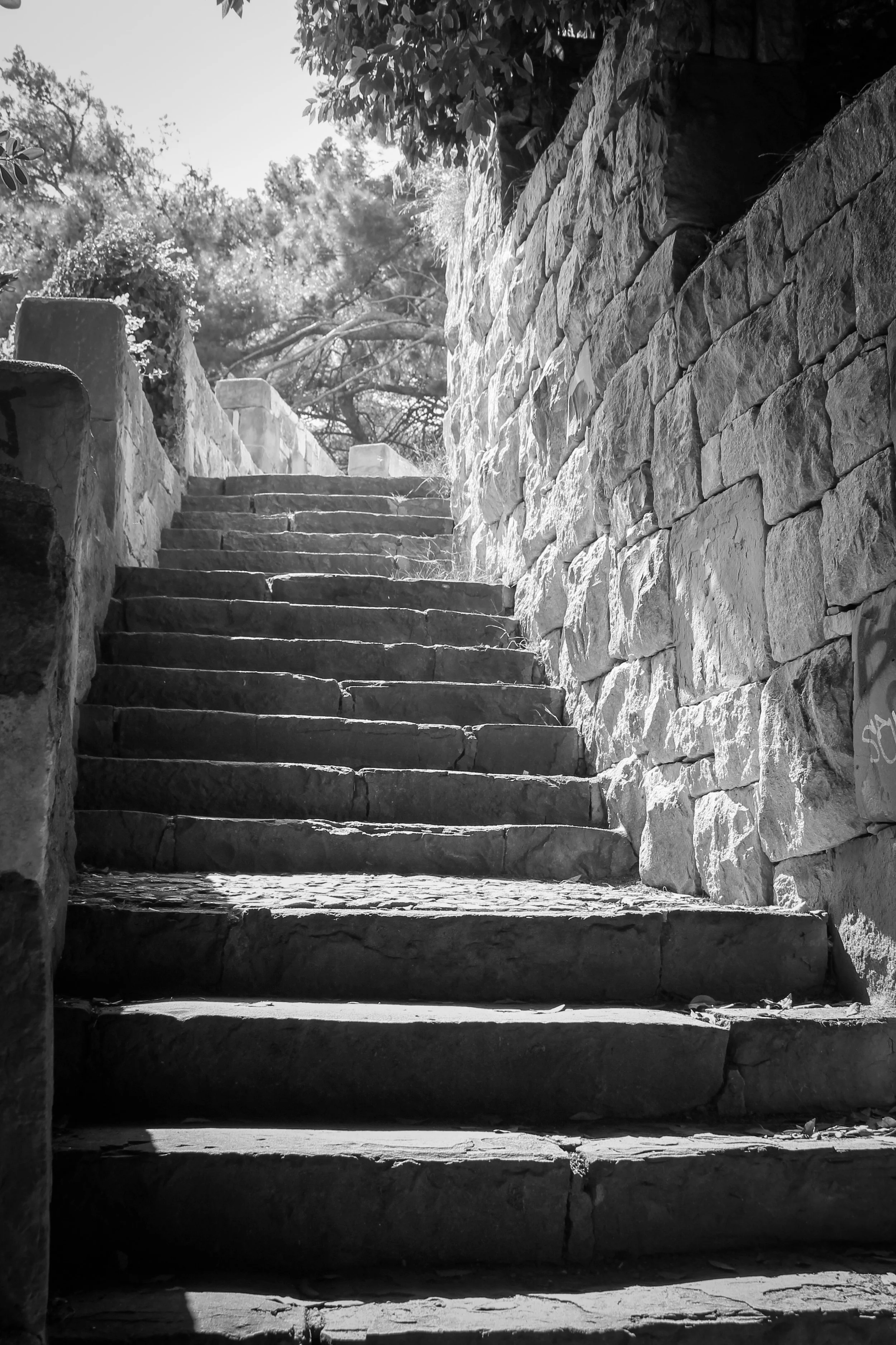 A high-impact, short-term engagement. This intensive can be applied toward a monthly Full Brand Experience.