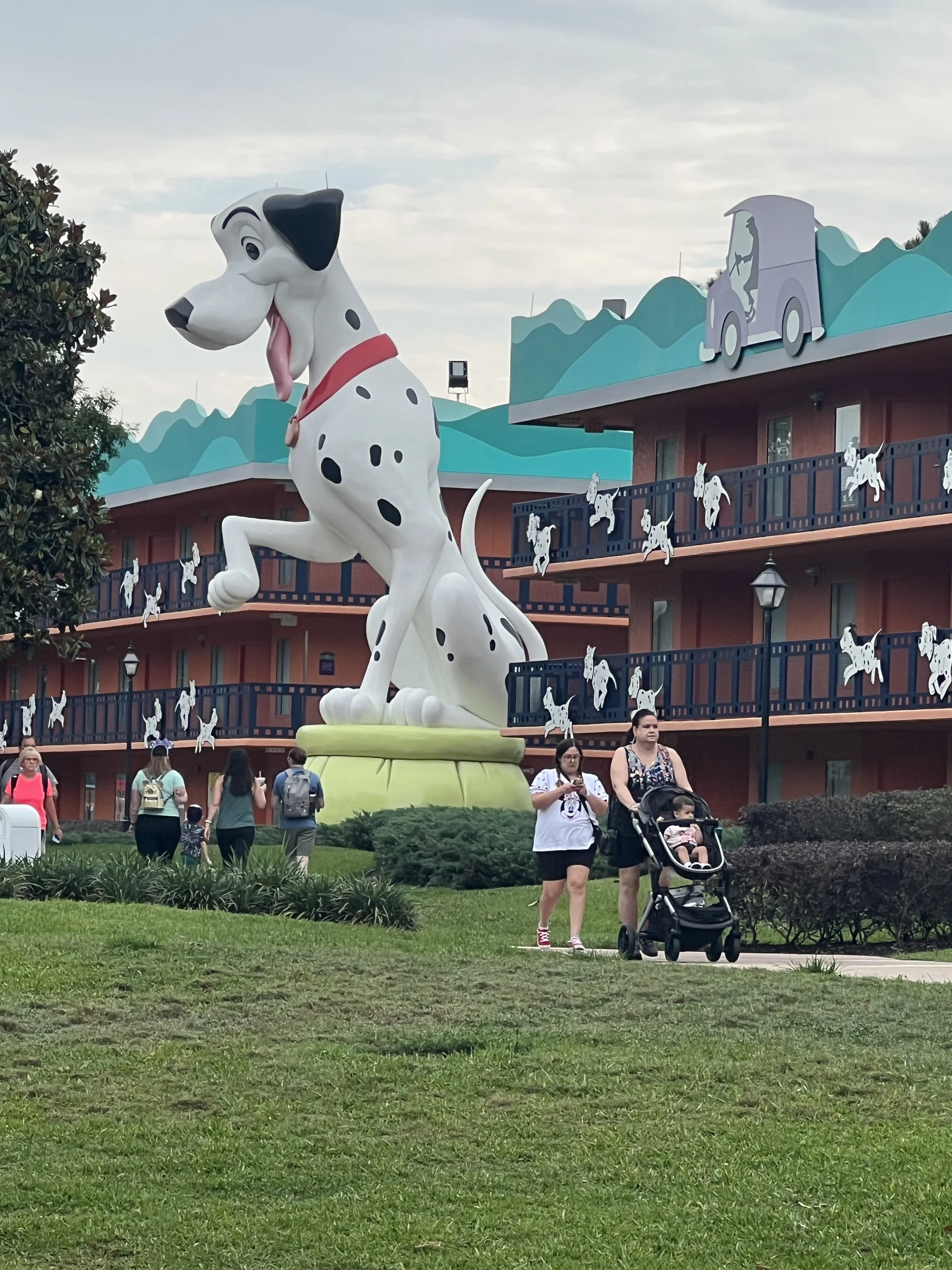 IMG_6270.jpeg