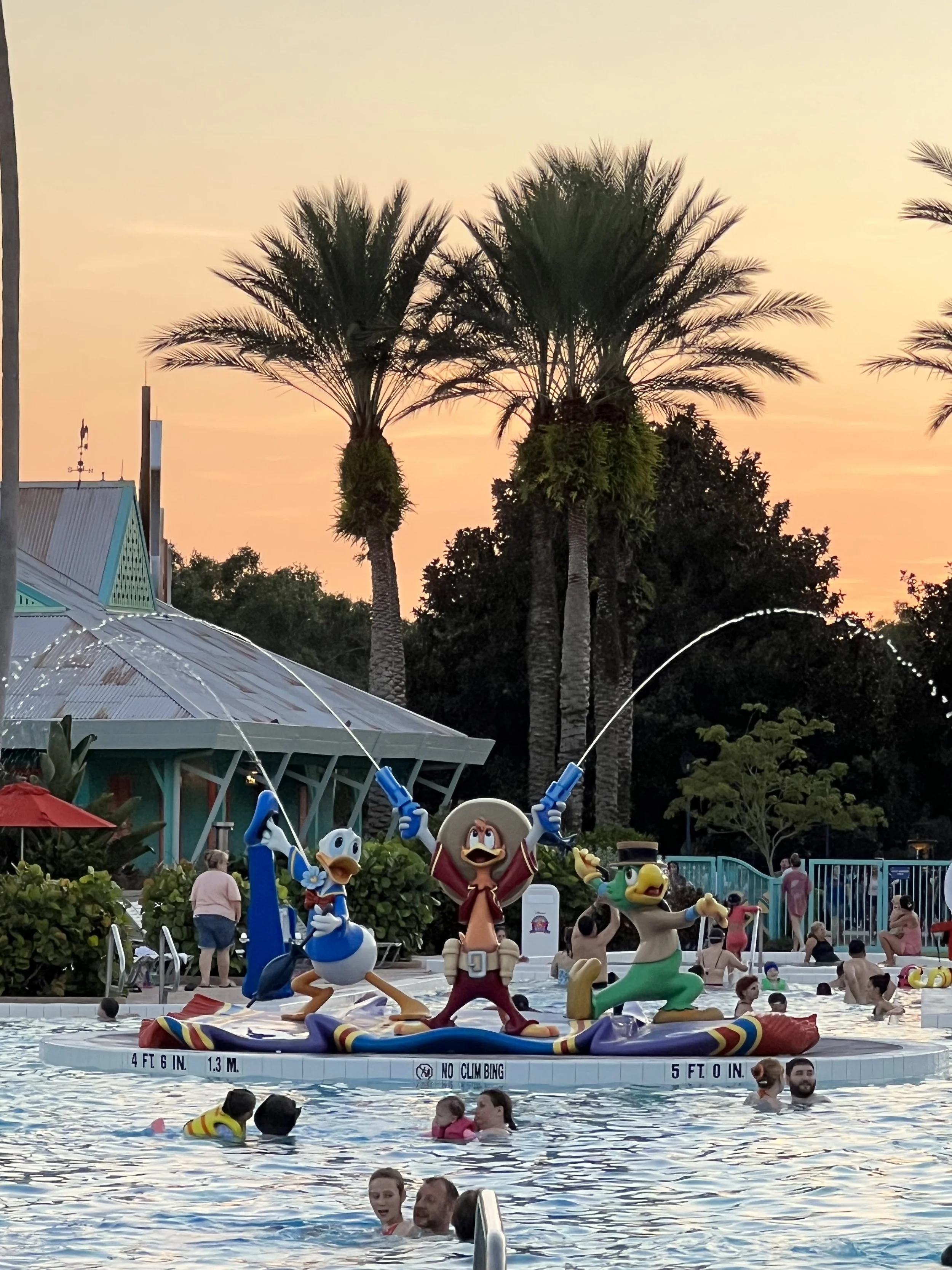 IMG_7524.jpeg