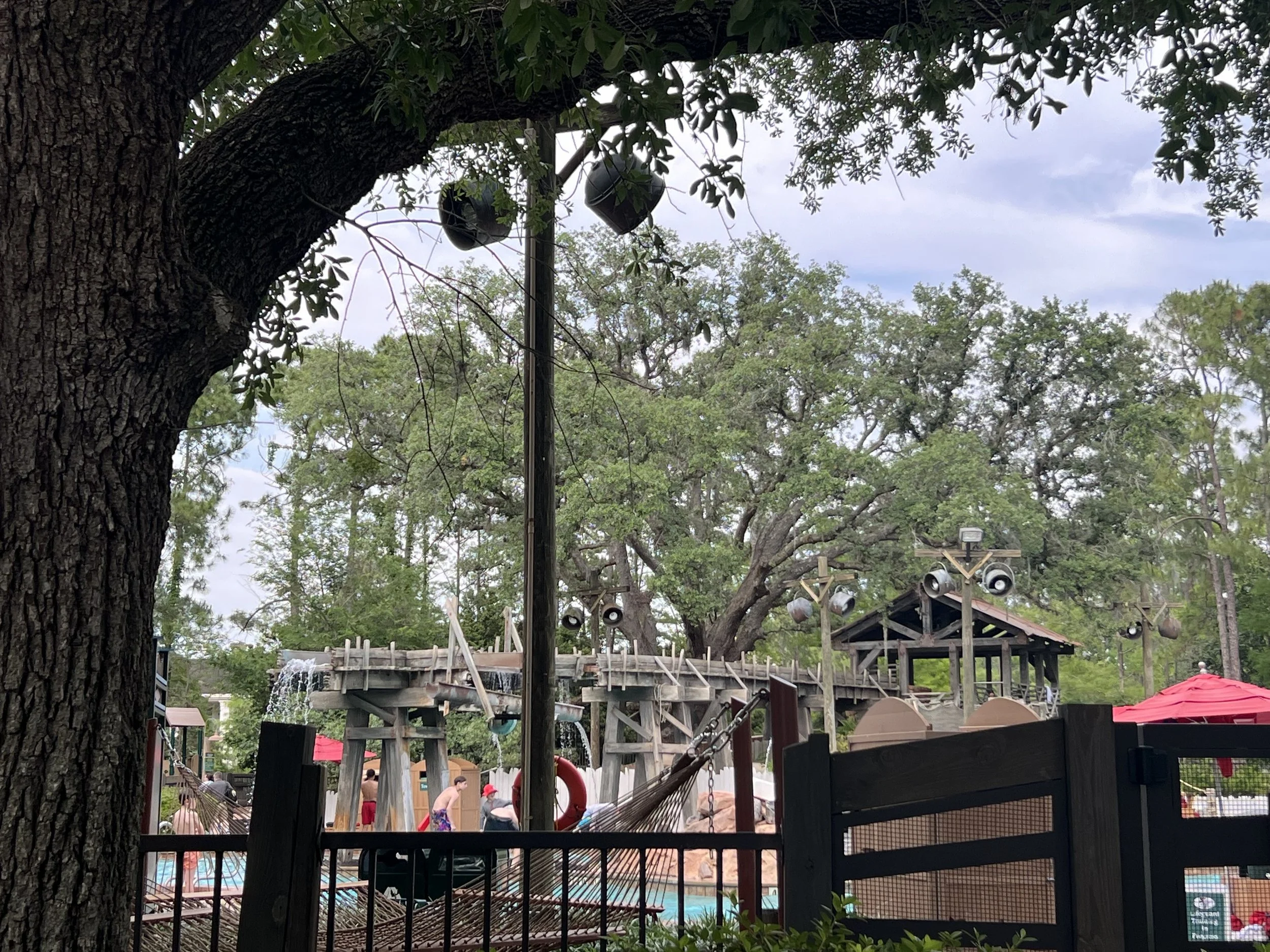 IMG_3261.jpeg