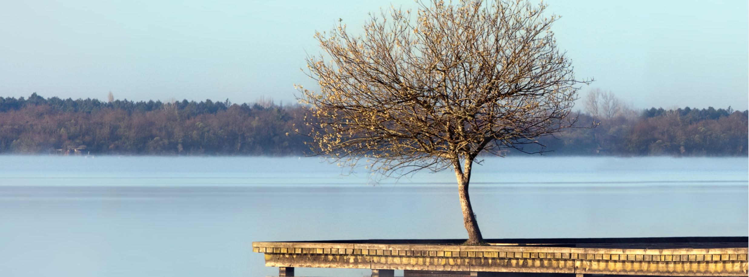 Introduction to Vedic Meditation