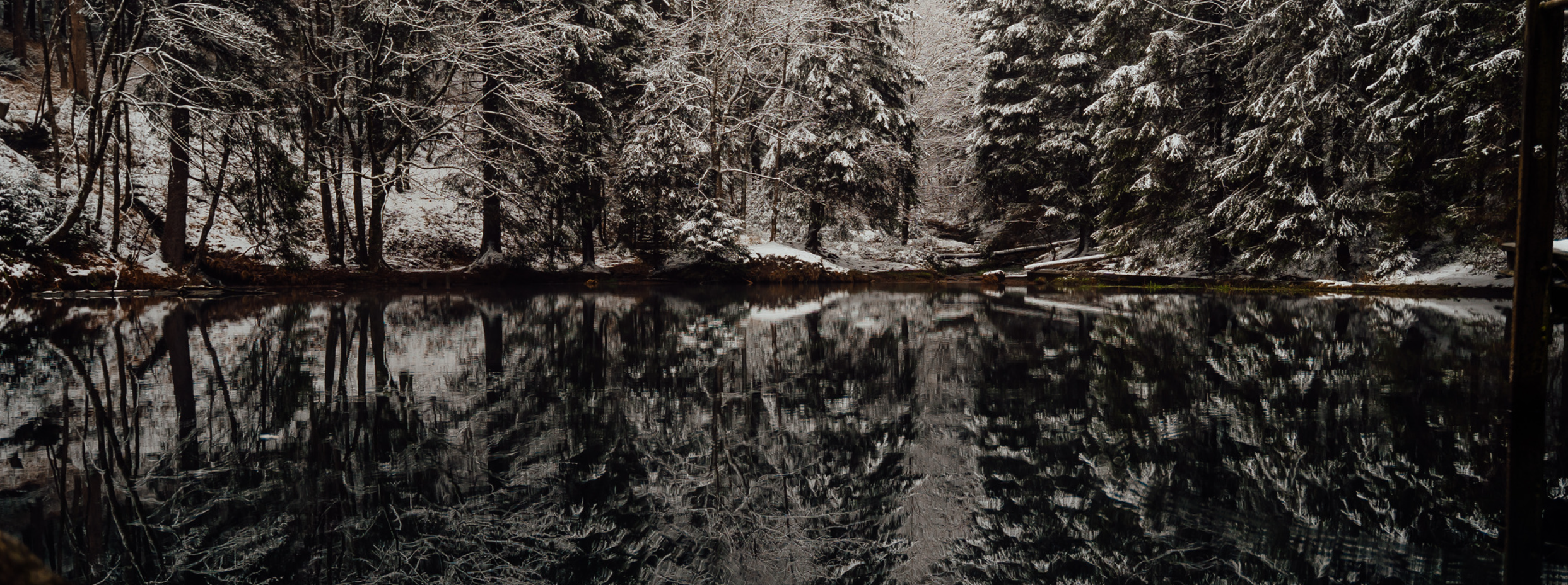 Winter Yin &amp; Sound