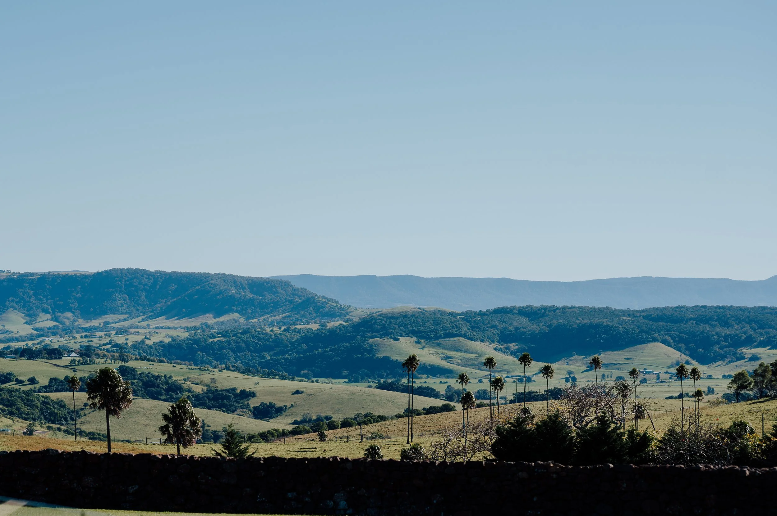 STR at Cedar Springs Wellness Photography-007.jpg