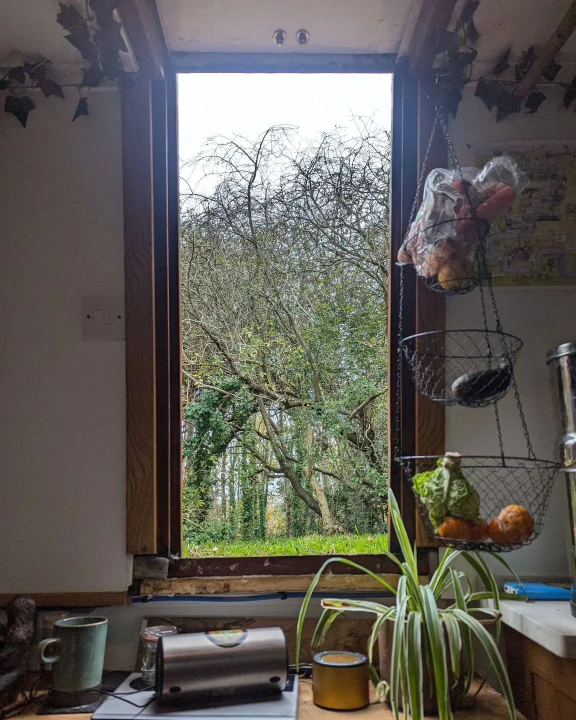 Sunday vibes.

What is the view from your window?

#dreadsnthreads #hinterlandhealinguk #boatlife #autumn #offgrid #naroowboat #nature