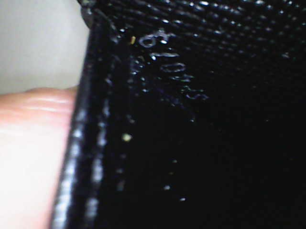 Image_2026-03-23 09_01_16_928.JPG